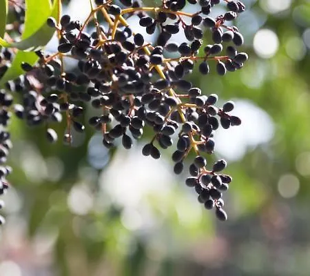 La Cordata - Brodolini 24 3* Cinisello Balsamo
